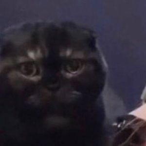 Meet your Posher, Libby